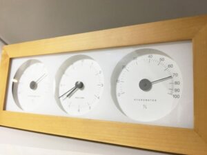 ヒョウモントカゲモドキの温度と湿度の管理方法！夏と冬の乗り越え方！