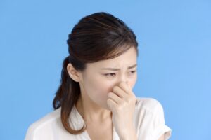 ポメラニアンの臭いは強い？原因と対策を紹介！