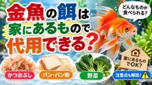 金魚の餌は家にあるもので代用できる？かつおぶし・パン・野菜を解説