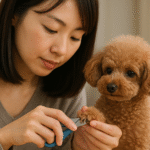 犬の爪切りの長さはどこまで？安全な目安と切り方のポイントを解説