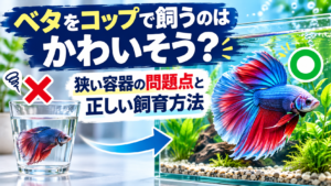ベタがかわいそう？コップ飼育の問題点と理想の環境を解説！