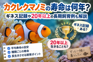 カクレクマノミの寿命は何年？ギネス記録や20年以上の長期飼育例も解説