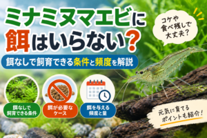 ミナミヌマエビに餌はいらない？餌なしで飼育できる条件と頻度を解説