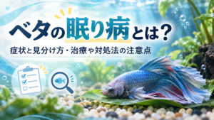 ベタの眠り病とは？症状と見分け方・治療や対処法の注意点