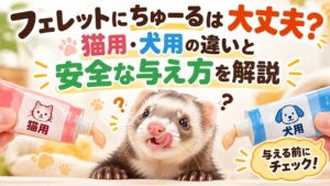 フェレットにちゅーるは大丈夫？猫用・犬用の違いと安全な与え方を解説