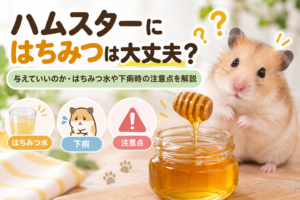 ハムスターにはちみつは大丈夫？与えていいのか・はちみつ水や下痢時の注意点を解説