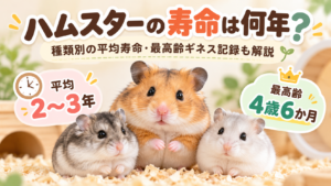 ハムスターの寿命は何年？種類別の平均寿命・最高齢ギネス記録も解説