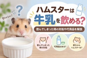 ハムスターは牛乳を飲める？飲んでしまった時の対処や代用品を解説