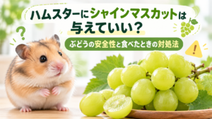 ハムスターにシャインマスカットは与えていい？ぶどうの安全性と食べたときの対処法