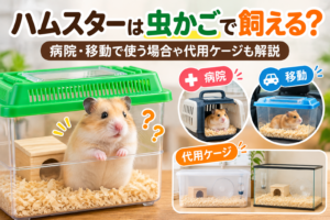 ハムスターは虫かごで飼える？病院・移動で使う場合や代用ケージも解説