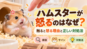 ハムスターが怒るのはなぜ？触ると怒る理由と正しい対処法