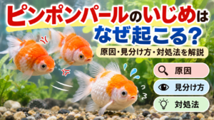 ピンポンパールのいじめはなぜ起こる？原因・見分け方・対処法を解説