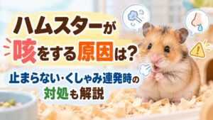ハムスターが咳をする原因は？止まらない・くしゃみ連発時の対処も解説