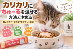 カリカリにちゅーるを混ぜても大丈夫？毎日・量・混ぜ方や食べない時の対処法を解説