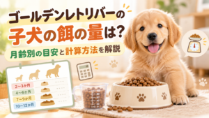 ゴールデンレトリバーの子犬の餌の量は？月齢別の目安と計算方法を解説