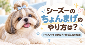 シーズーのちょんまげのやり方は？トップノットの結び方・伸ばし方を解説