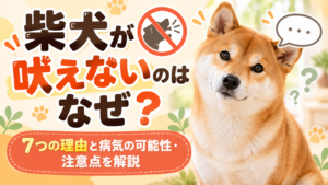 柴犬が吠えないのはなぜ？7つの理由と病気の可能性・注意点を解説