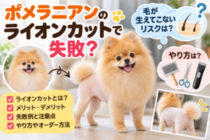 ポメラニアンのライオンカットで失敗？毛が生えてこないリスクややり方を解説