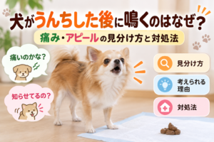 犬がうんちした後に鳴くのはなぜ？痛み・アピールの見分け方と対処法
