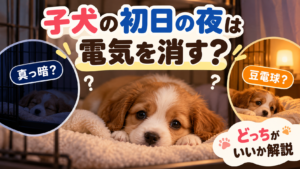 子犬の初日の夜は電気を消す？真っ暗・豆電球どっちがいいか解説