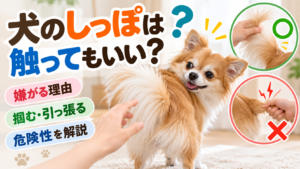犬のしっぽは触ってもいい？嫌がる理由や掴む・引っ張る危険性を解説